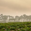 환희농장 이미지