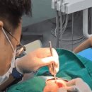 유디서현치과의원 이미지