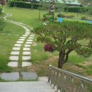 해찬솔가 이미지