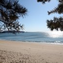 덕적식당민박 이미지