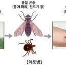 아토병증상과 원인 이미지