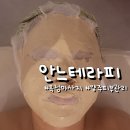 안느테라피