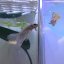 홈브리딩 이미지