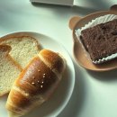 새용인동물약국 이미지