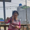 조박사민박 이미지