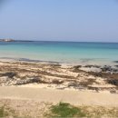 와락게스트하우스 이미지