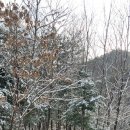 자연속힐링펜션 이미지