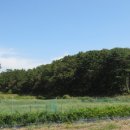 서도면-1 이미지