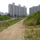 계룡로(상동동) 이미지