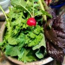 철원고구마 이미지