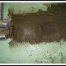 건승약국 이미지