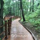 대청호반 국제뉴스