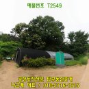 화성개발 부동산중개 이미지