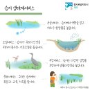 선흘에서