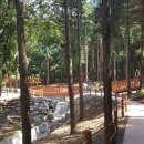 (사)산림문화휴양협회 이미지