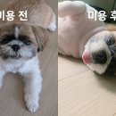 두리동물클리닉 이미지