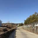 원정농장 | 개화역 사바나 농장 방문 후기 아프리카 식물 전문 농장