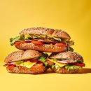 로이넷 호텔 서울 마포 | 마포 10만원대 찐가성비 숙소 추천 로이넷 호텔 내돈내산 솔직 후기,조식,주변 관광지 정보 및 맛집 추천