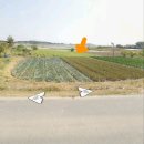 J0525 네이버블로그