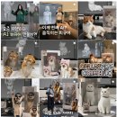 피규어 만들기 이미지