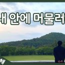 정범수 Daum카페
