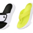 리커버리 이미지