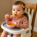 프리아이피오(주) | 외출 휴대용 아기 부스터 맘스프리 이유식 의자 내돈내산 후기