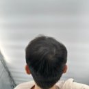 유채움