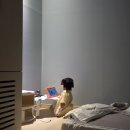365 마음동물병원 | 송도 소아과 입원 후기｜VIC365 3인실·1인실 실제 비용과 장염 입원기