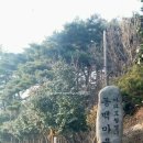 동백쉐이리 네이버블로그