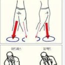 헬스에 반하다 이미지