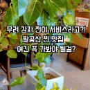 장수오리 팔공점 이미지