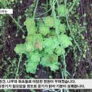 플라워박사