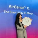 대한메드 | 레즈메드 에어센스11 양압기 런칭 행사 가빛섬 다녀온 후기