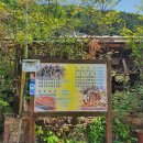 장독대자연산버섯전문점 | 동두천 자연산 버섯전골 오늘N 맛집 알아보기