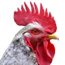 청산원 | 우리 한시 삼백수 자유여행 4박 5일 코스