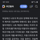 🇩🇪 독일 핵핵대네 독일 핵무장 이미지