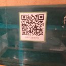 참숯마당 | <양주> 오뚜기 토속마당 참숯토종닭갈비 나만알고싶은 로컬맛집 내돈내산 솔직후기