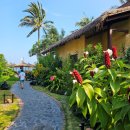 뱀부(Bamboo)베트남쌀국수 | 무이네 뱀부빌리지 리조트 4박 후기: 호치민에서 이동, 객실, 수영장, 조식까지