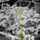 풀잎들