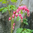 밥풀떼기 이미지