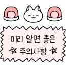 BOB 어린이 수영장 이미지