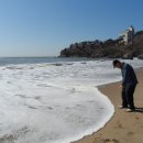 그린바다 이미지