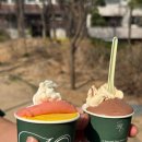 울산 태화동 카페 에이오 아이스크림샵 (A.O ICE CREAM SHOP)