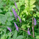 청련암 입구 이미지