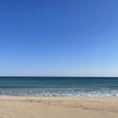 카페노라 - 사하구 감천항로 188 | 카페노라