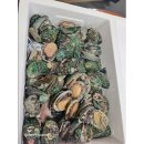 완도상회 이미지