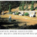 공주 금양단 이미지