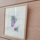 색연필일러스트&보타니컬아트 이미지