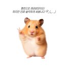 쟈뎅 코엑스 삼성점 ' 다인 디자이너님께 받은 힐링 두피 스파 케어 🌿 l 지친 두피에 힐링을 🫧 l 솔직 후기